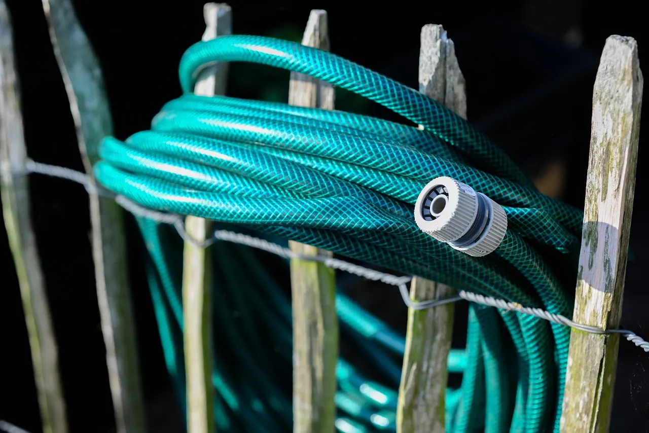 garden, hose, water, spray, nature, summer, grass, wet, sun, backyard, outdoor, equipment, gardener, tool, irrigation, sprinkler, rain, lawn