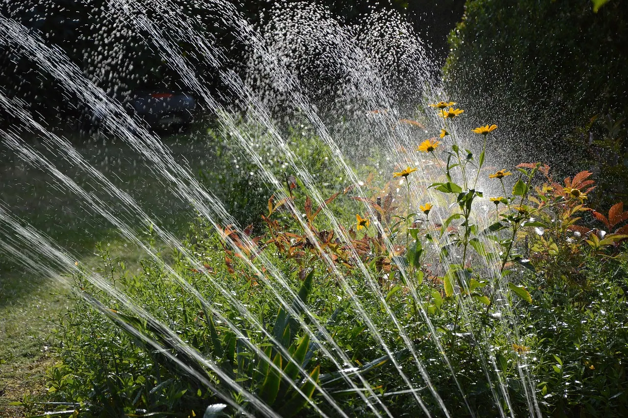 garden, irrigation, water, nature, sprinkler, waterdrop, artificially, splash