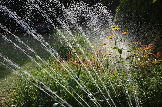 garden, irrigation, water, nature, sprinkler, waterdrop, artificially, splash