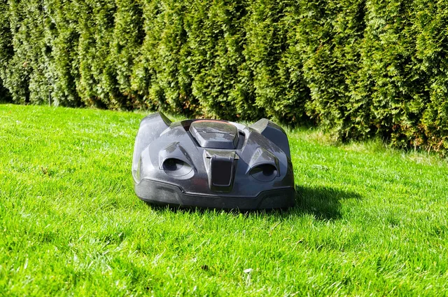 grass, lawn, summer, nature, garden, landscape, plant, equipment, lawn mower, robotic lawnmower, robot, garden maintenance, green, gardening, rural, environment, exterior, hedge. An honest review of robotic yard equipment