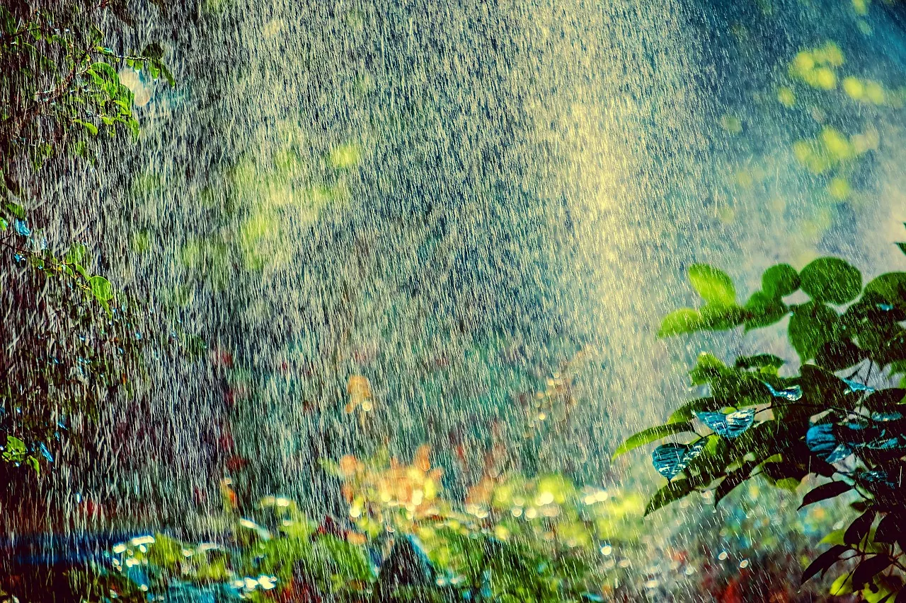 sprinkler, irrigation, backlighting, water, spray, sprinkler system, splash, spraying, summer, nature, heatwave, park, gardening