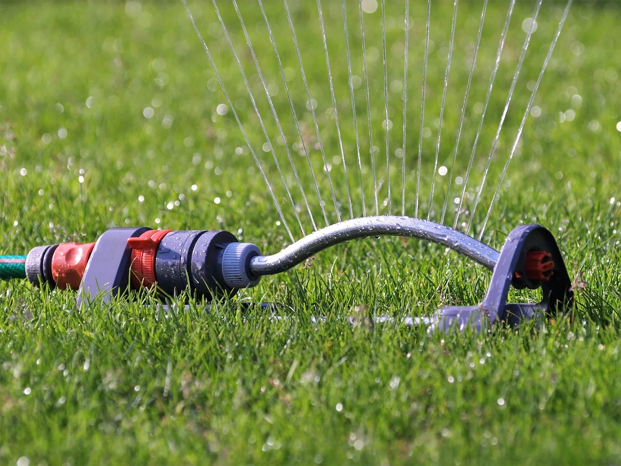 lawn sprinkler, water, hose connection, lawn, nature, garden. Smart irrigation maintenance: what to check and when