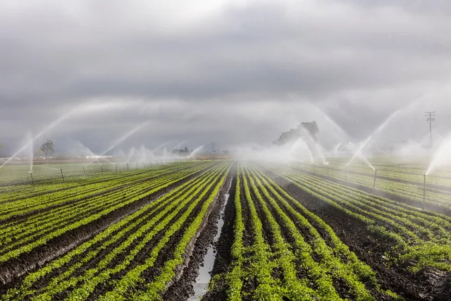 irrigation, agriculture, farm, irrigation, irrigation, irrigation, irrigation, irrigation. Smart irrigation companies: service agreement terms to define