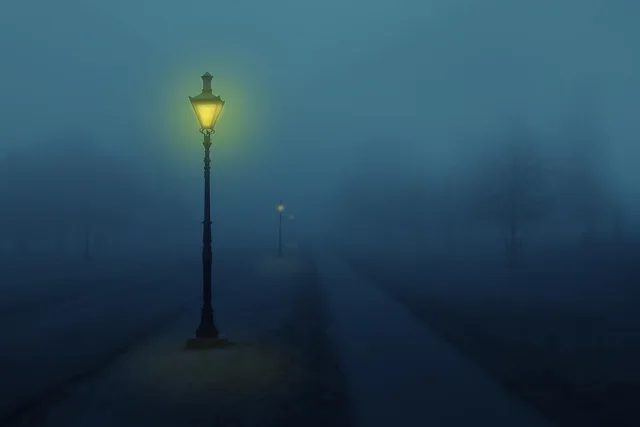 night, nature, fog, street lamp, light, trees. How to Run a Three Week Coastal Fog and Salt Field Test on Smart Outdoor Lighting