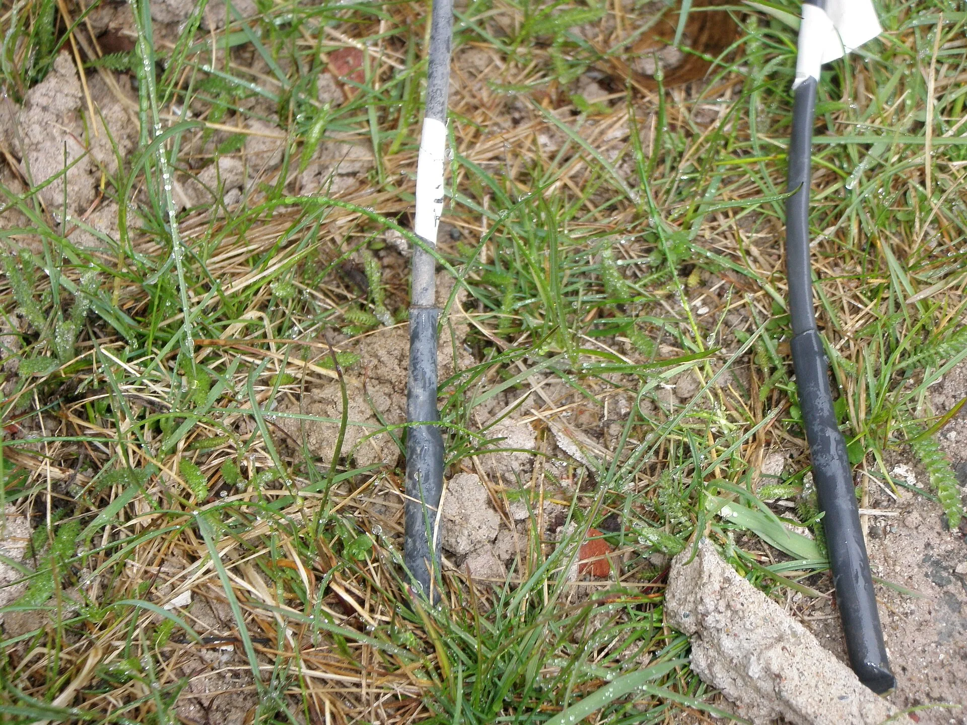 temp soil probe. Garden Sensors for Canadian Climates: What Actually Survives