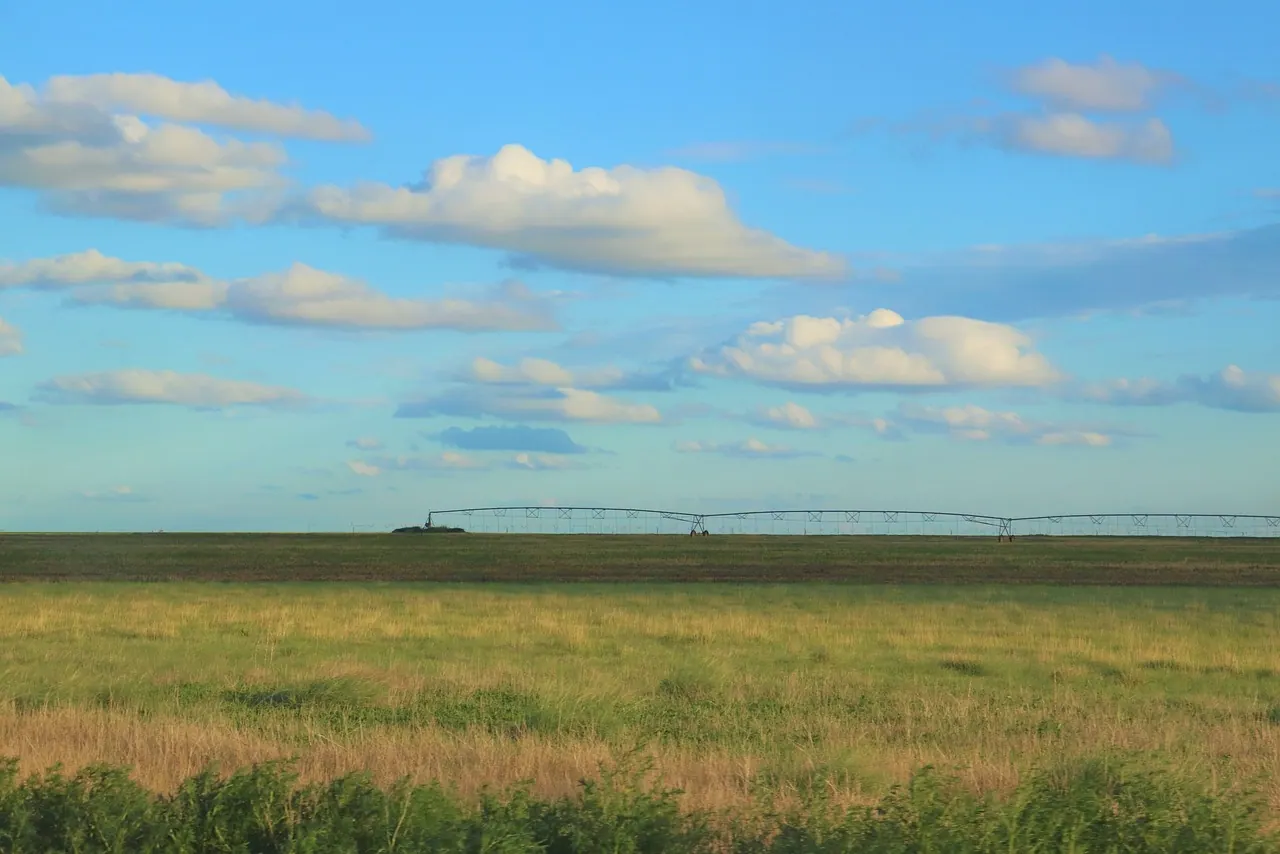 field, irrigation, sprinkler, agriculture, landscape, nature, rural, drought, arable, farming, dry, farm, sky, outdoor, farmland