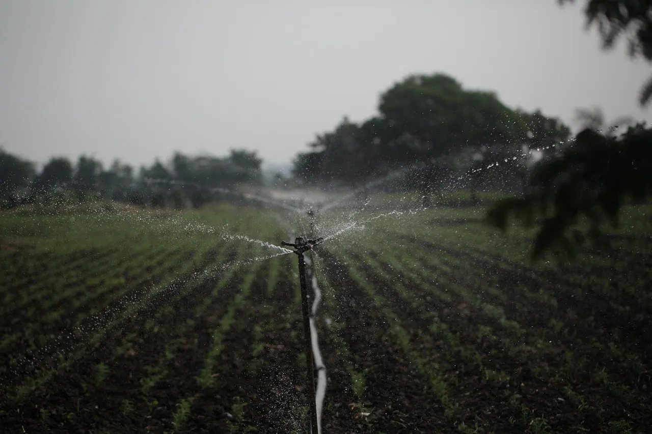 sprinkler, irrigation, water management, agriculture, water conservation, sustainability, farmland, sprinkler, sprinkler, sprinkler, sprinkler, sprinkler, irrigation, irrigation, i