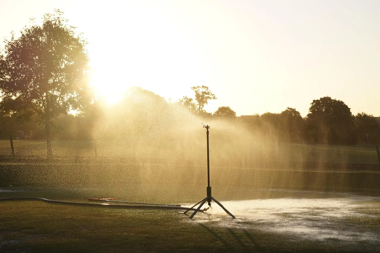 sprinkler, water, watering, irrigation, nature, pressure, spray, grass, wet, lawn, gardening, equipment, sprinkling, sprinklers, golf course, trees, sunset, brown golf, brown garde