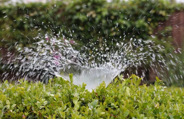irrigation, nature, splash, water, sprinkler, to water, summer, greening, wet. Smart Yard Technology: WaterSense S627 vs. S633
