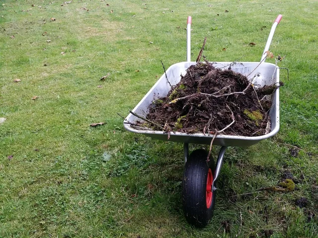 wheelbarrow, gardening, garden, garden tools, nature, garden design, landscaping, working device, garden soil. Documenting a smart yard project: the record that lets results be checked later
