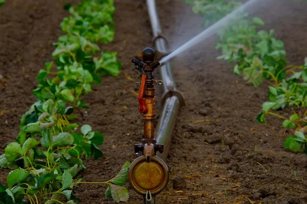 water sprinkler, water jet, artificially, agriculture, irrigation, landscape, nature, dryness, water, bust, field, fields, summer, dry, sprinkler, tube, water supply, artificial ir