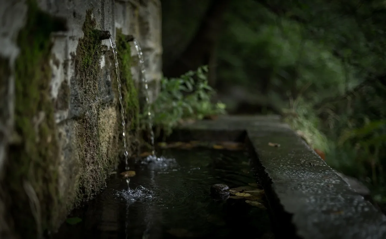 wall, water, drainage, blur, dark, nature, plant, drainage, drainage, drainage, drainage, drainage. Yard technology mistakes: planning for water and faults