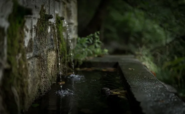 wall, water, drainage, blur, dark, nature, plant, drainage, drainage, drainage, drainage, drainage. Yard technology mistakes: planning for water and faults