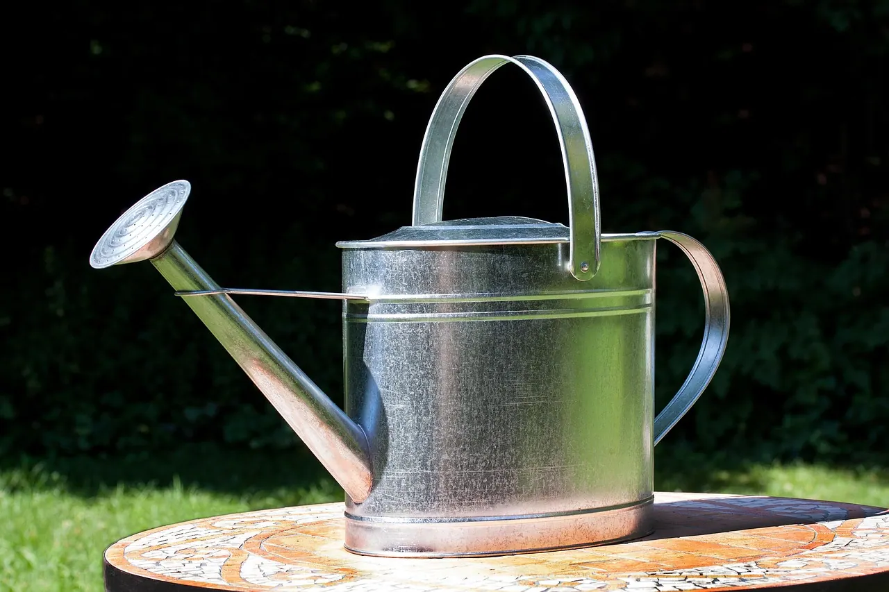 watering can, sprinkler, nature, vessel, to water, shower, zinc plated, metal, sheet, item of use, reflection, gardening, garden, irrigation, summer
