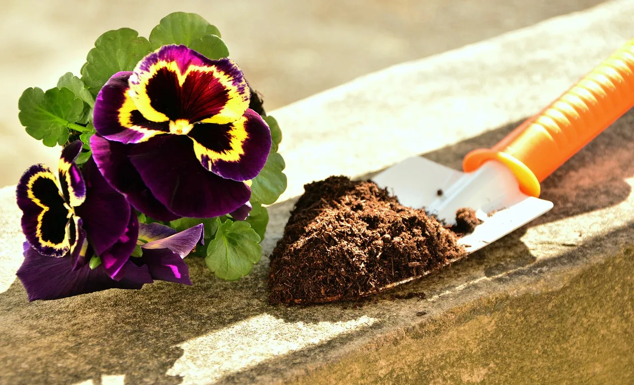plants, pansy, garden, earth, shovel, plant flowers, spring, nature, potting soil, gardening, pansy, shovel, shovel, shovel, shovel, shovel, potting soil, potting soil, potting soil, potting soil, potting soil. Testing a garden sensor against a shovel, not just its own spec sheet