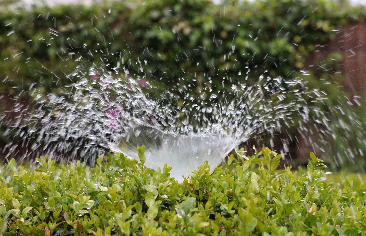 irrigation, splash, water, nature, sprinkler, to water, summer, greening, wet