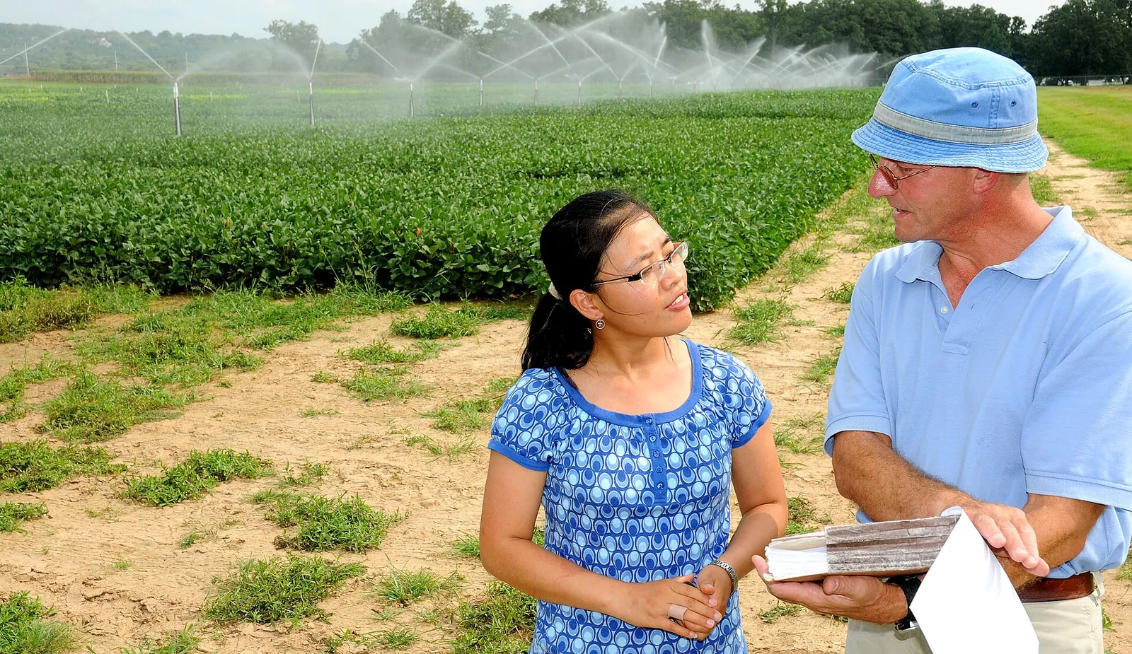 Crop physiologist Larry Purcell and graduate student Xiaoyan Hu use an in-line array of sprinkler heads to provide variable irrigation to test plots in a study of drought tolerance. Testing a smart irrigation company with a small paid job before signing