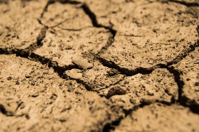 drought, aridity, dry, earth, soil, brown, ground, arid, erosion, barren, land, drought, drought, drought, drought, drought, earth, earth, soil, soil, soil, soil, land. Before buying a garden sensor, ask these four questions first