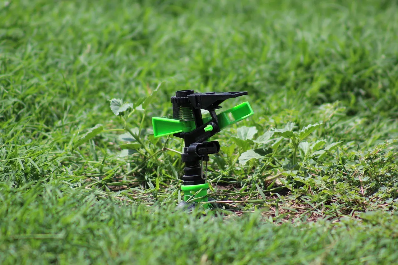 grass, flora, lawn, growth, nature, sprinkler, plastic, irrigation, sprinkler, sprinkler, sprinkler, sprinkler, sprinkler, irrigation, irrigation
