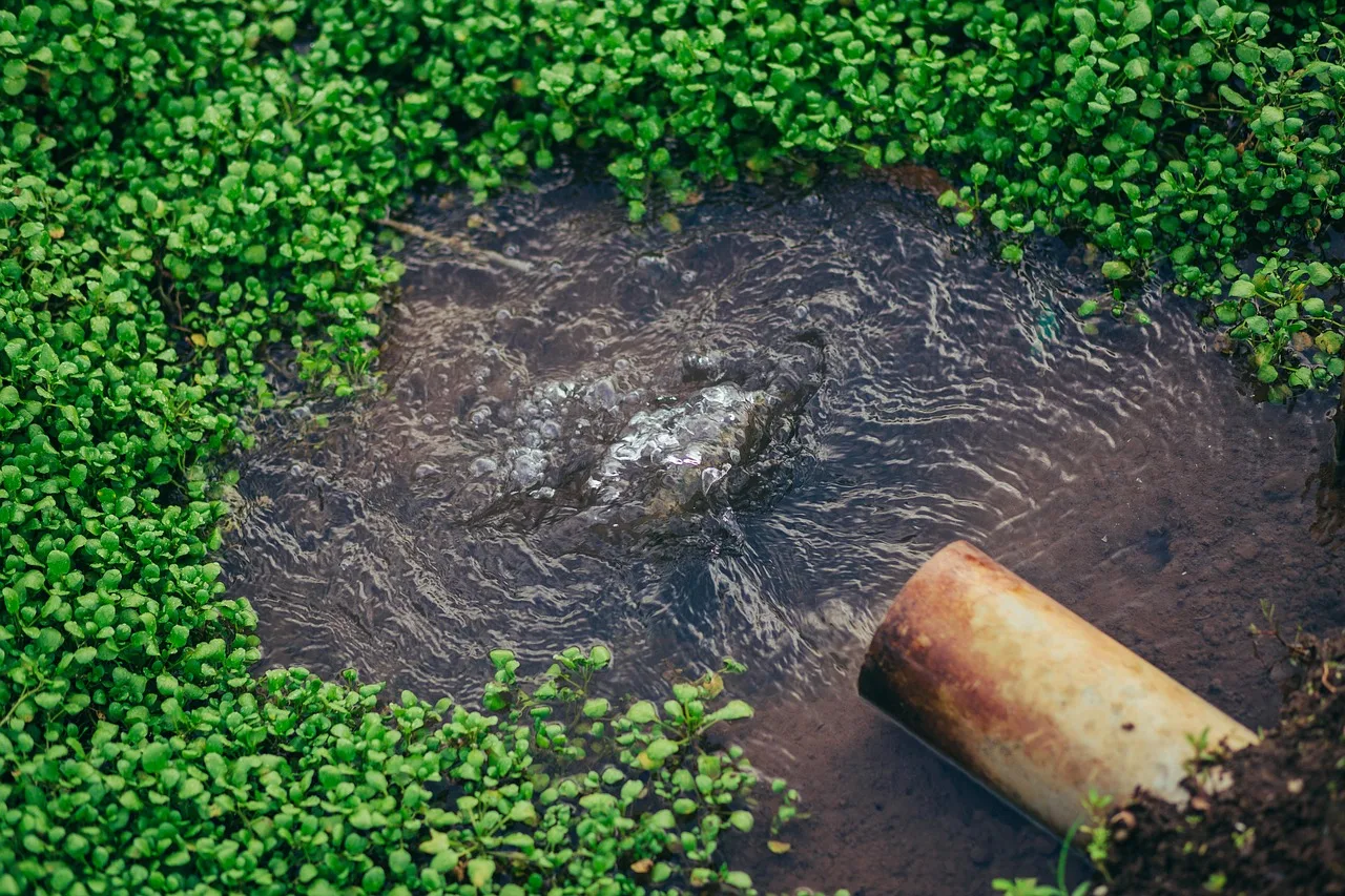 irrigation, agriculture, field, farming, irrigation, irrigation, irrigation, irrigation, irrigation. Questions worth asking a smart irrigation company: timing, scope, and price