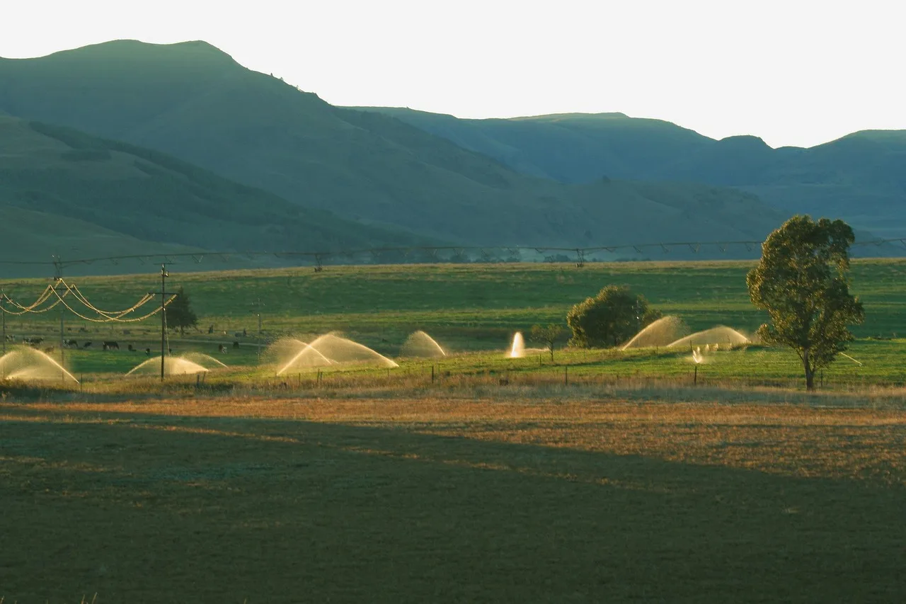 mountains, scenery, sprinklers, tree, fields, irrigation, nature, green, sprinklers, irrigation, irrigation, irrigation, irrigation, irrigation. Rachio vs RainMachine: Cloud or Local Control?