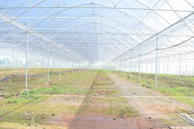 greenhouse, planting, building, agriculture, irrigation, greenhouse, greenhouse, greenhouse, greenhouse, greenhouse, irrigation. Your smart irrigation company: what it probably knows, and who else sees it