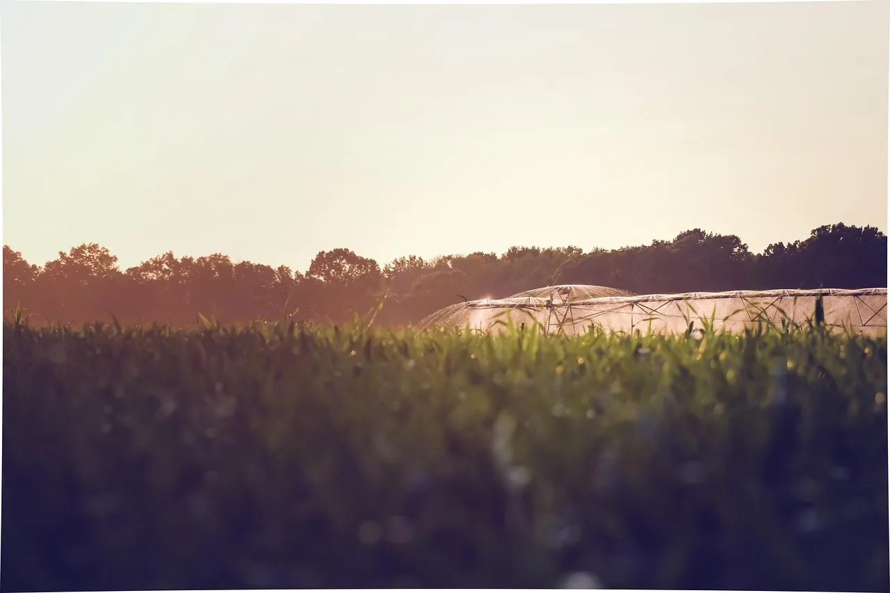 water, cornfield, irrigation, countryside, nature, farm, field, outdoor. Smart irrigation for the careful reader: the 2027 view