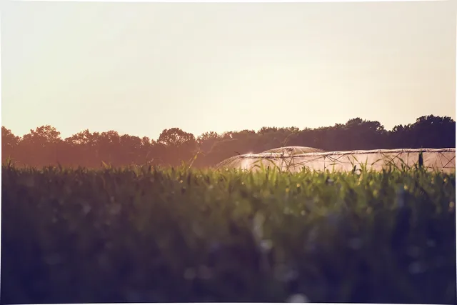 water, cornfield, irrigation, countryside, nature, farm, field, outdoor. Smart irrigation for the careful reader: the 2027 view