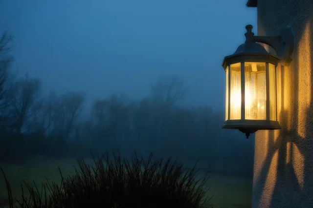 fog, forest, light, wall, morning, outdoor, sky, shining, soft, mysterious, cozy, lonely, trees, nature, cozy, cozy, cozy, cozy, lonely, lonely, lonely, lonely, lonely. Smart Outdoor Lighting in Foggy Coastal Cities: What US Buyers Should Know