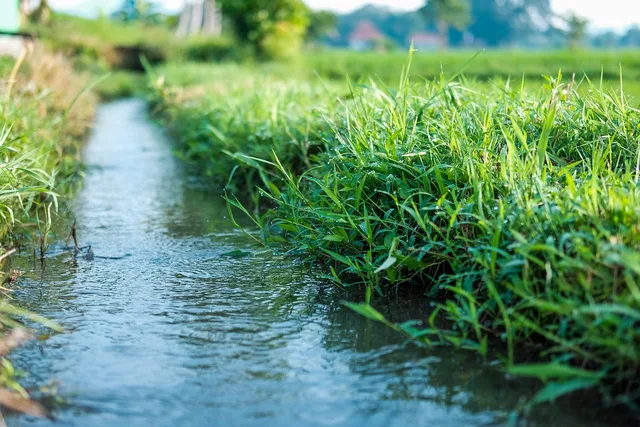 natural, water, green, grass, plant, wet, rain, agriculture, press, gardening, nature, casting, rural, field, land, landscape, drought, garden, dew, leaf, irrigation. Smart yard case studies: five public water programs