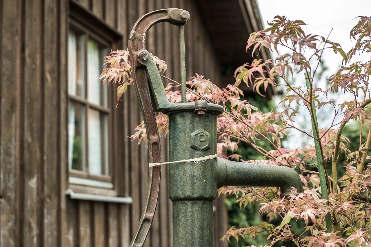 pump, water pump, garden, irrigation, nature, hand pump, garden shed, house, gazebo, cock pump, garden irrigation, garden pump, court pump. What to buy first for a smart yard on a small or rented plot