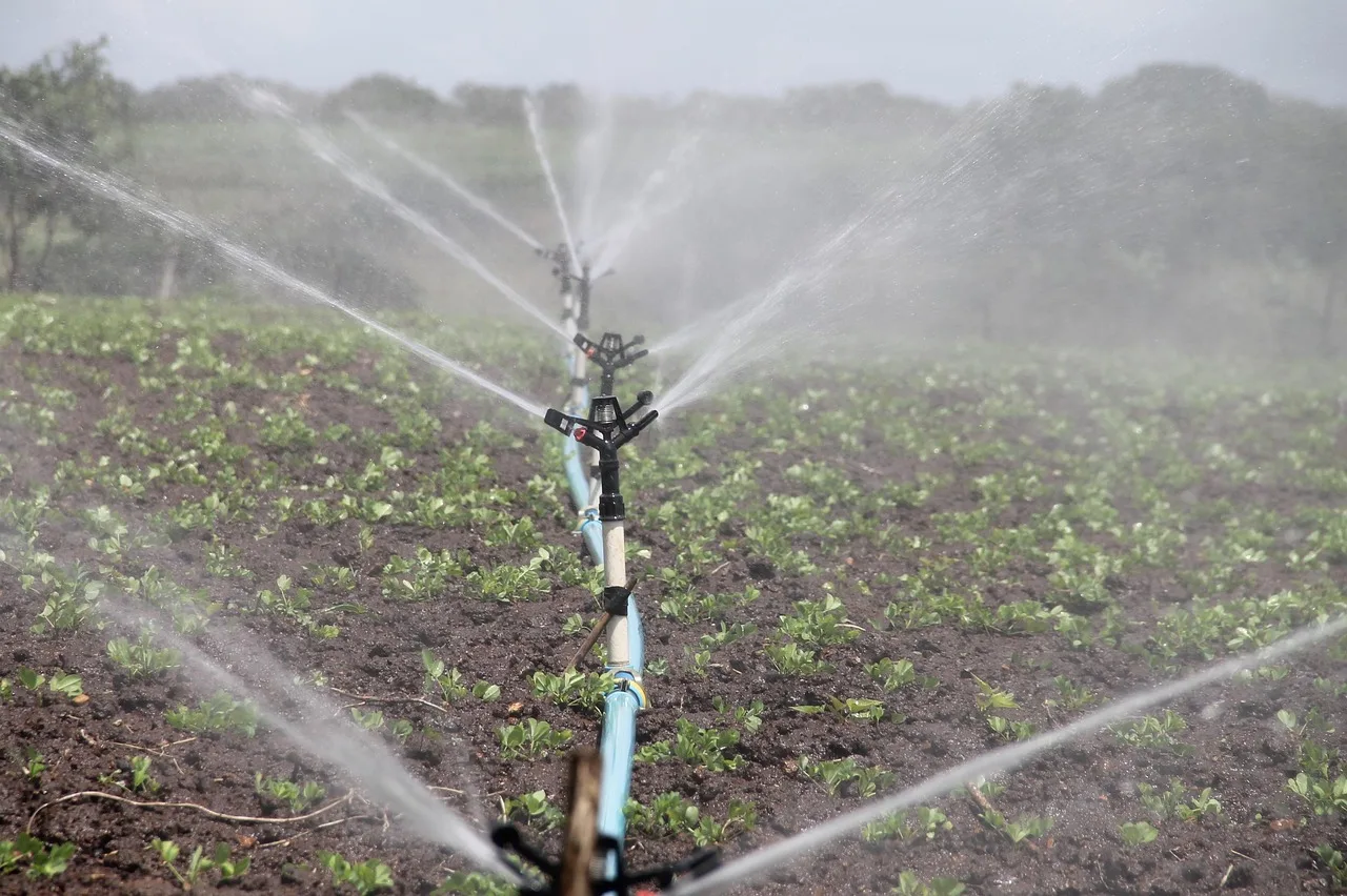 irrigation, nature, agriculture, sprinkle, peanut, water, itabaiana, sergipe. Reading smart yard technology with a sceptical eye, 2027 edition