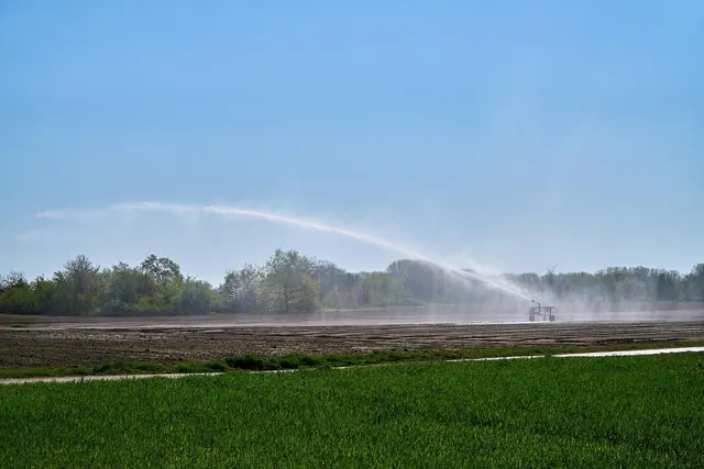 irrigation, agriculture, water cannon, water, field, farmer, food, meal, beam, shoot, tropics, wet, growth, to wash, nourishment, nature, water sprinkler, sprinkler, summer, dry, f