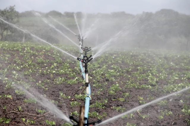 irrigation, nature, agriculture, sprinkle, peanut, water, itabaiana, sergipe. Reading smart yard technology with a sceptical eye, 2027 edition