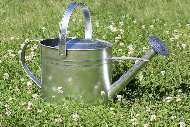 watering can, sprinkler, vessel, to water, shower, zinc plated, metal, sheet, item of use, meadow, clover, reflection, gardening, nature, garden, irrigation, summer