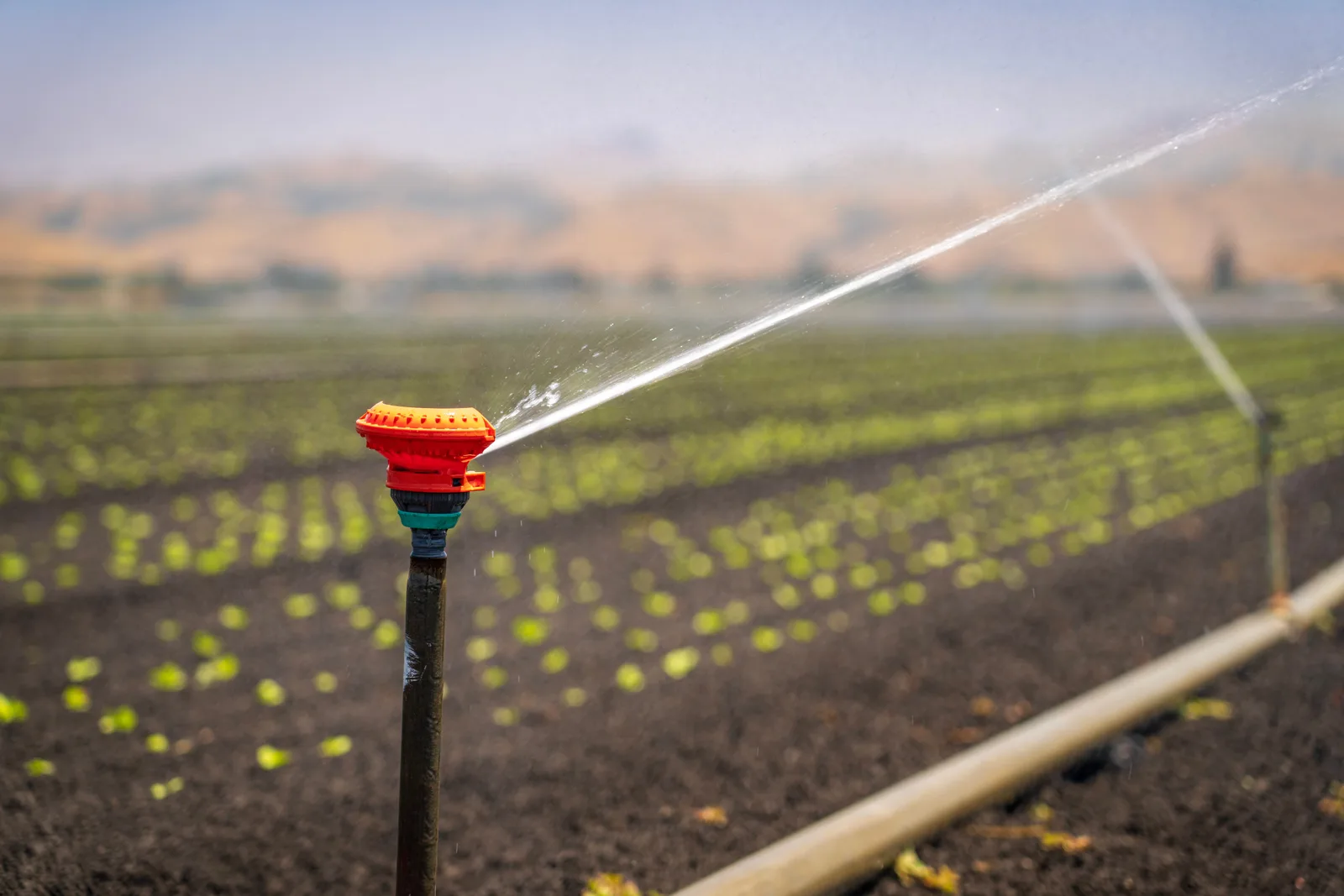 A sprinkler irrigating a green crop field in a rural landscape under a clear blue sky. Outdoor automation ideas: limits of owner reports