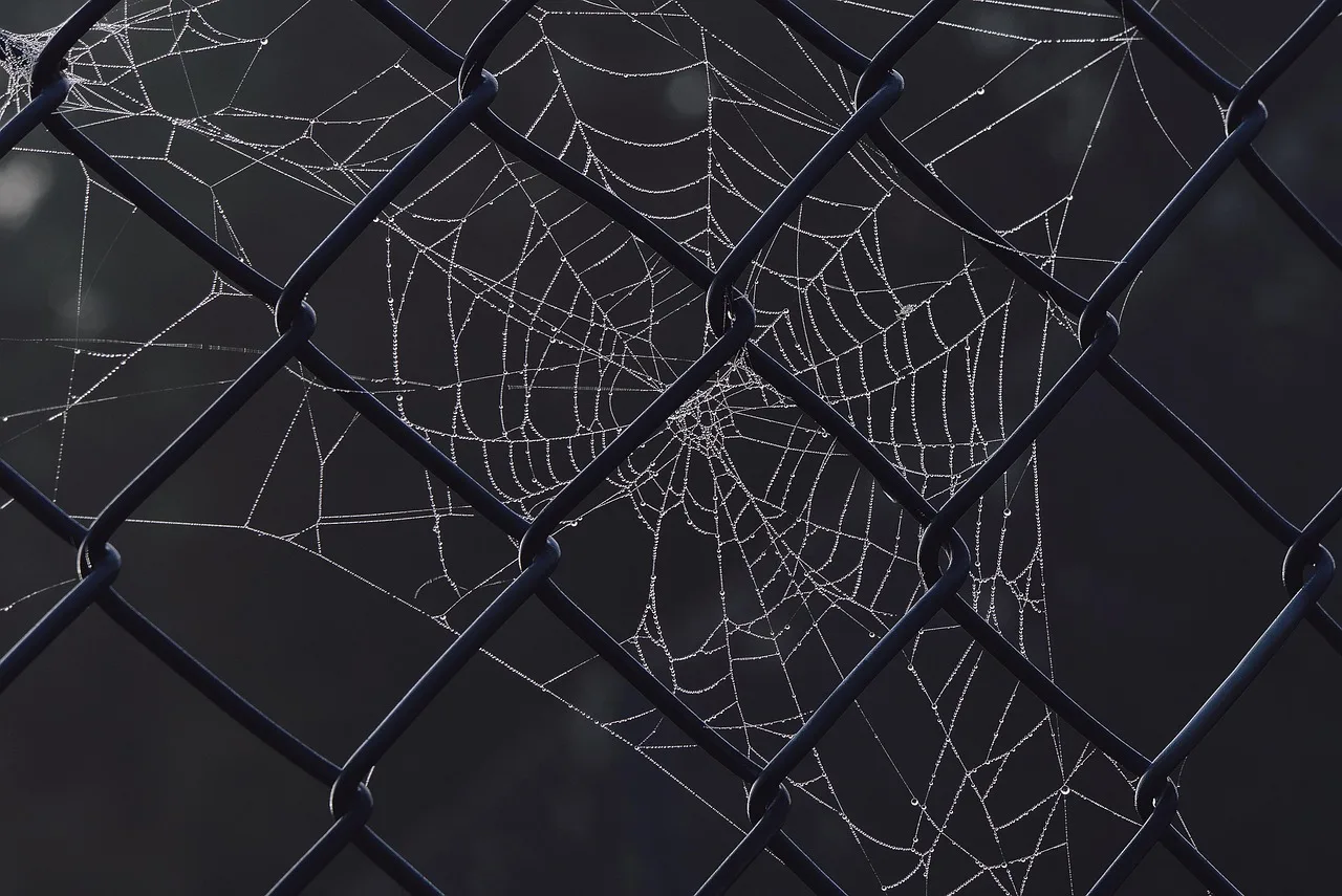 spider web, dewdrop, fence, web, water droplets, close up, fog, morning mood, sunrise, nature, network, abstract, spun, low key, halloween, spider web, web, web, sunrise, network, network, abstract, abstract, halloween, halloween, halloween, halloween, halloween. Garden sensor systems and privacy in shared buildings