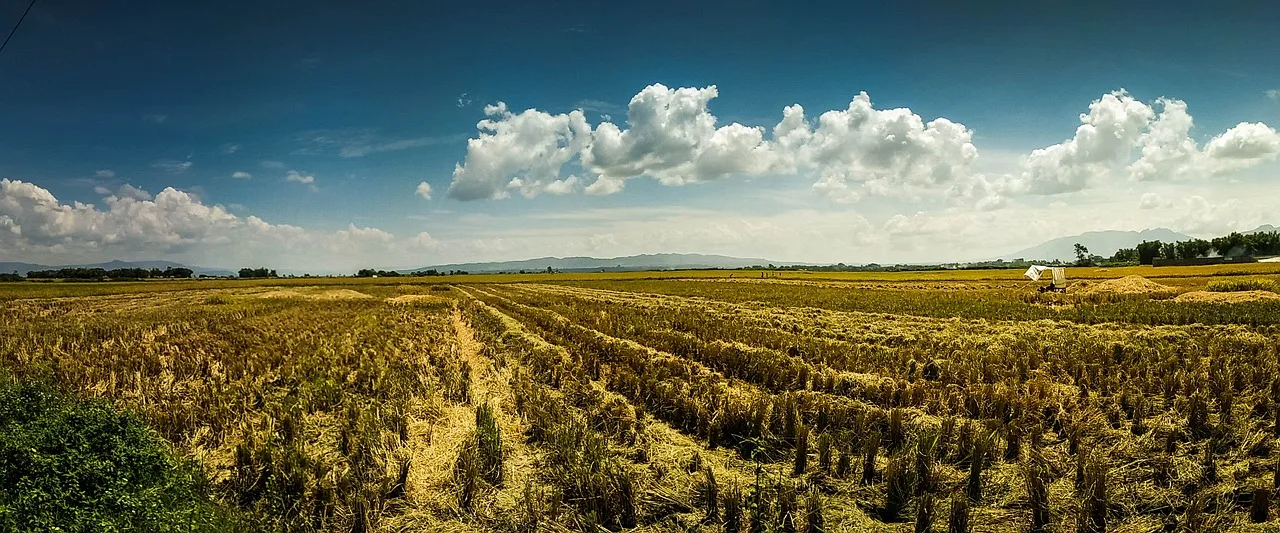 irrigation, paddy, northsumatera, samosir, irrigation, irrigation, irrigation, irrigation, irrigation, samosir. Where smart irrigation privacy concerns appear: rebate files, plans, meters